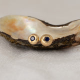 Blue Sapphire Gemstone Studs