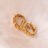 Dotted Huggie Hoops